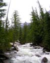 LIONHEAD_RAPIDS1