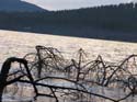 Priest Lake Area (18)