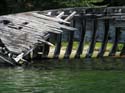 Priest Lake Area (30)