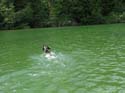 Priest Lake Area (37)