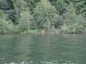 Priest Lake Area (41)