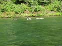 Priest Lake Area (46)