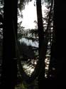 Priest Lake Area (53)