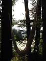 Priest Lake Area (54)