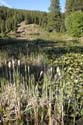 Priest Lake Area Photographs (10)