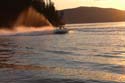 Priest Lake Area Photographs (100)
