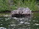 Priest Lake Area Photographs (1006)