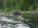 Priest Lake Area Photographs (1008)