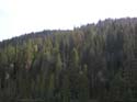 Priest Lake Area Photographs (1017)