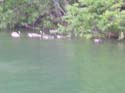 Priest Lake Area Photographs (1028)