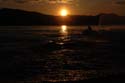 Priest Lake Area Photographs (103)