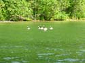Priest Lake Area Photographs (1032)