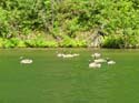 Priest Lake Area Photographs (1033)