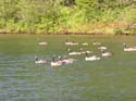 Priest Lake Area Photographs (1034)