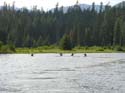 Priest Lake Area Photographs (1052)