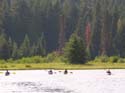 Priest Lake Area Photographs (1054)