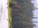 Priest Lake Area Photographs (1055)