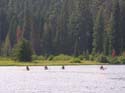 Priest Lake Area Photographs (1056)