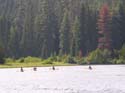 Priest Lake Area Photographs (1057)