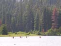 Priest Lake Area Photographs (1058)