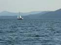 Priest Lake Area Photographs (1066)