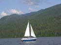 Priest Lake Area Photographs (1071)