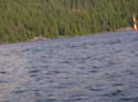 Priest Lake Area Photographs (1073)