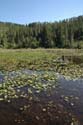 Priest Lake Area Photographs (11)