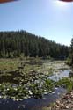 Priest Lake Area Photographs (12)