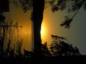 Priest Lake Area Photographs (1225)