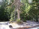 Priest Lake Area Photographs (1291)