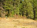 Priest Lake Area Photographs (1344)
