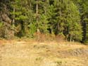 Priest Lake Area Photographs (1345)