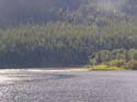 Priest Lake Area Photographs (1350)