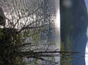 Priest Lake Area Photographs (1366)