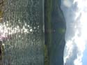Priest Lake Area Photographs (1384)