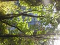 Priest Lake Area Photographs (1395)