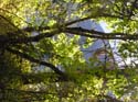 Priest Lake Area Photographs (1396)