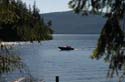 Priest Lake Area Photographs (163)