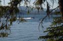 Priest Lake Area Photographs (165)