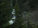 Priest Lake Area Photographs (202)