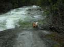 Priest Lake Area Photographs (203)