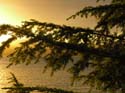 Priest Lake Area Photographs (216)