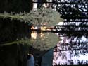 Priest Lake Area Photographs (261)