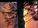 Priest Lake Area Photographs (269)