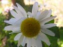 Priest Lake Area Photographs (280)