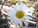 Priest Lake Area Photographs (286)