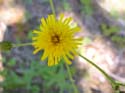 Priest Lake Area Photographs (294)