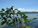 Priest Lake Area Photographs (295)