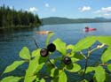Priest Lake Area Photographs (297)